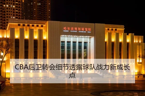 CBA后卫转会细节透露球队战力新成长点（RayGaming）